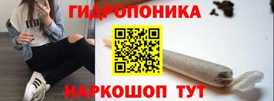 индика Краснокаменск
