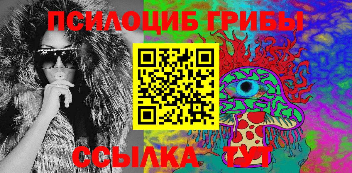 Псилоцибиновые грибы Cubensis Елизово
